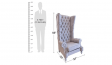 Retinor Wing Chair - Furnitureadda